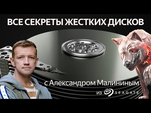 Видео: Все секреты жестких дисков с Александром Малининым (Seagate)