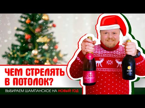 Видео: Как выбрать шампанское на Новый год? Просекко или креман? Игристые вина разных стран