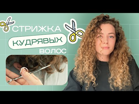 Видео: СТРИЖКА КУДРЯВЫХ ВОЛОС / как выбрать мастера?