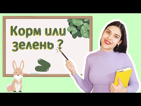 Видео: Чем лучше кормить декоративного кролика - кормом или зеленью?