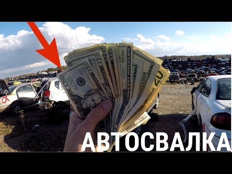Видео: НАШЕЛ ДЕНЬГИ НА САМОЙ БОЛЬШОЙ СВАЛКЕ МАШИН В МИРЕ!(НОВЫЕ АВТО/ПОЛИЦЕЙСКАЯ ТАЧКА/НИШТЯКИ)