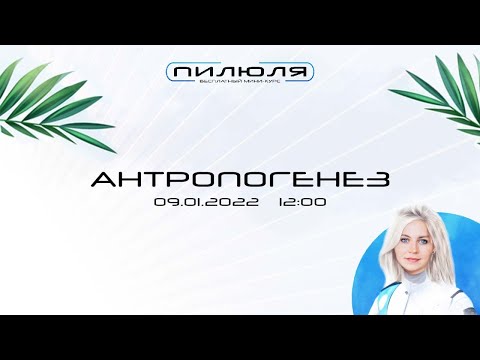 Видео: Антропогенез | Пилюля 2022