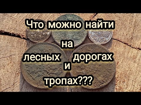 Видео: ПОИСК И РАЗВЕДКА НОВЫХ МЕСТ В ЛЕСУ, С ХР DEUS!