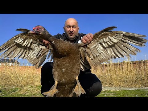 Видео: Нежный ПЛОВ и нежная утка 🦆 домашней духовке - ВЫ ТАКОГО ЕЩЕ НЕ ПРОБОВАЛИ