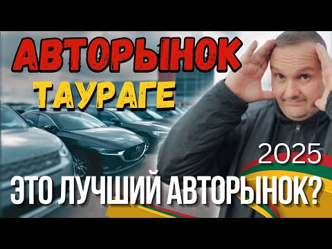 Видео: Таураге  часть 1| Цены на ходовые и надежные авто в Литве