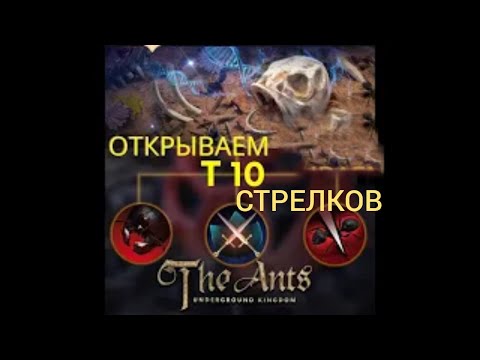 Видео: Открываем Стрелков Т10 #TheAnts #Ким
