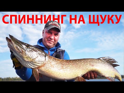 Видео: СПИННИНГ НА ЩУКУ! Совет новичкам. Как выбрать спиннинг?