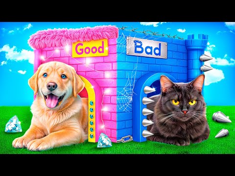Видео: Хорошая собака vs плохая кошка! Мы построили домики для домашних животных