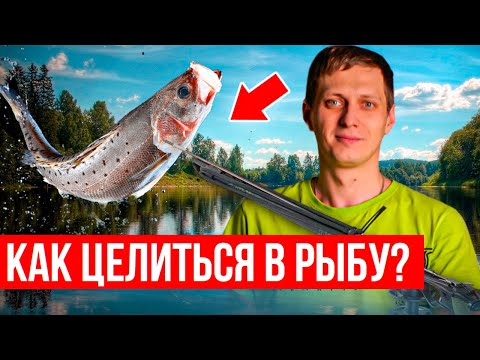 Видео: Как стрелять в рыбу, чтобы не допускать подранков? | Техника подводной охоты