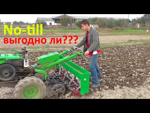 Видео: Посев озимой пшеницы на сено! No-till выгодно ли???