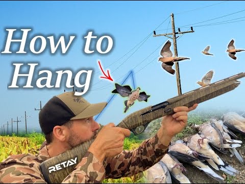 Видео: СЕКРЕТНОЕ ОРУЖИЕ | ВЕЛИКОЛЕПНАЯ ОХОТА НА ГОЛУБЕЙ НА ТАБАЧНОМ ПОЛЕ | КАК ПОВЕСИТЬ ЧУВСТВИТЕЛЬНЫЕ Г...