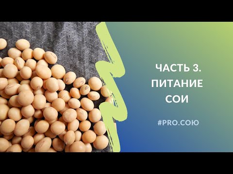 Видео: Часть 3. Питание сои | Пять вечеров PRO.СОЮ