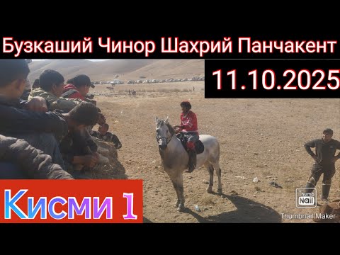 Видео: Бузкаший Чинор Шахрий Панчакент 11.10.2025 Кисми 1