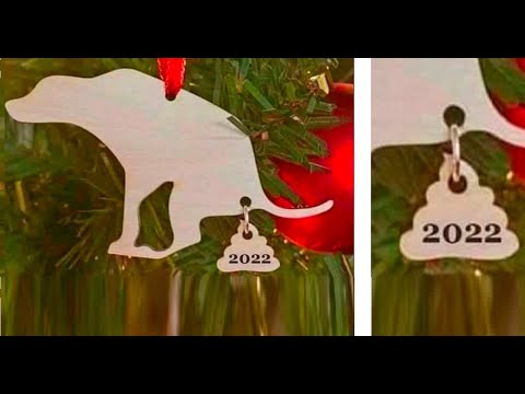 Видео: Лютые приколы. Слышь, ты, 2022 год, ты козёл!