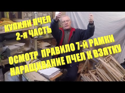 Видео: С Чего Начать пчеловодство. Правило 7- й рамки. Первый осмотр пчел. 2-я часть.