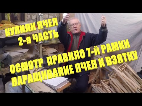 Видео: С чего начать пчеловодство Правило 7- й рамки Первый осмотр пчел 2-я часть