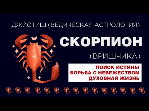 Видео: Архетип Скорпион (Вришчика). Типаж человека с сильным знаком Скорпион.