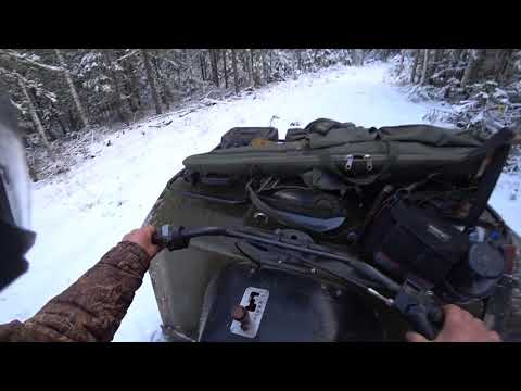 Видео: Один в глухой тайге ночью...зимой...И кранты Соколу....