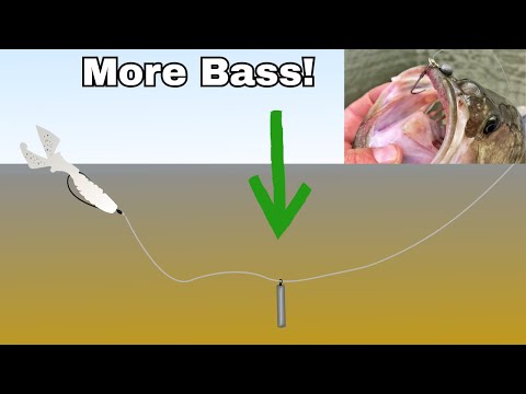 Видео: Как и зачем ловить рыбу на фридайвинг