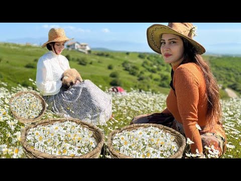 Видео: Миска с курицей и йогуртом и местным хлебом / кулинария в деревне!