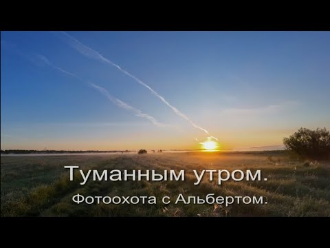 Видео: Фотоохота с Альбертом. Туманным утром.