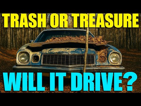 Видео: Camaro — мусор или сокровище?