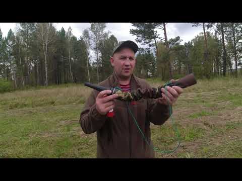 Видео: ТРУБА НА БЛАГОРОДНОГО ОЛЕНЯ.РЁВ ИЗЮБРЯ.