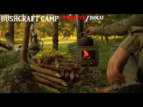 Видео: Кемпинг Alone Bushcraft на Пике - приготовление чая Beeftail - кемпинг с палаткой