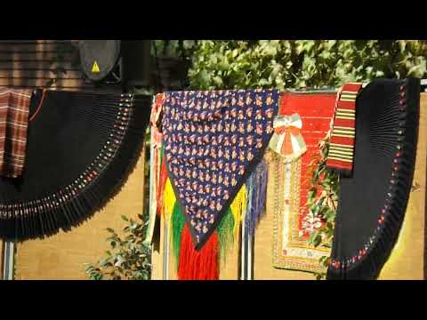 Видео: моменти от празника на Банатски вкусотии село Асеново 2025