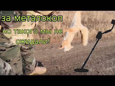 Видео: Поехали на металокоп. (Но всё пошло не по плану)