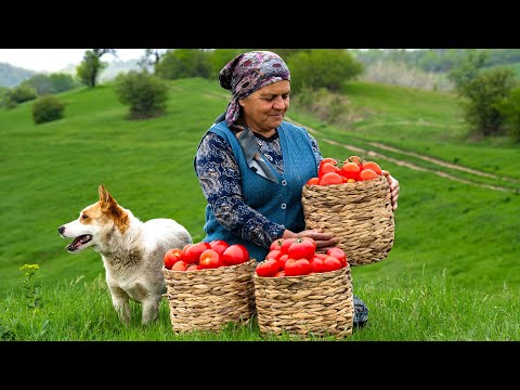 Видео: Рецепт домашнего кетчупа