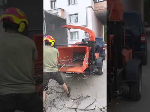 Видео: Измельчитель веток медведь 3м!