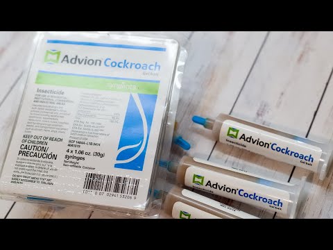 Видео: Advion Gel - самое эффективное средство от тараканов/прусаков от известной фирмы «Syngenta»