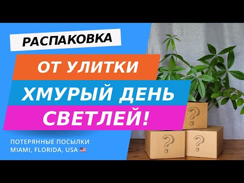Видео: Вот это находки! Распаковка потерянных посылок и обзор товаров в США, Флорида.