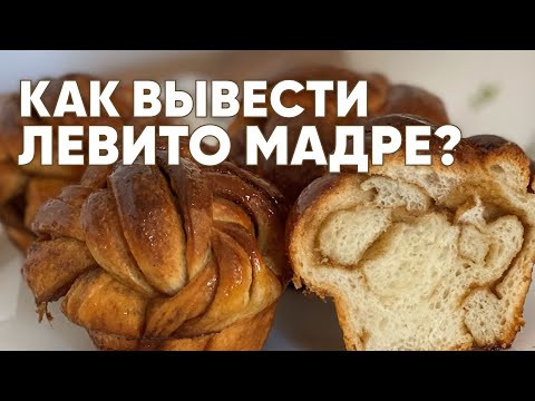 Видео: Как вывести закваску Левито Мадре?