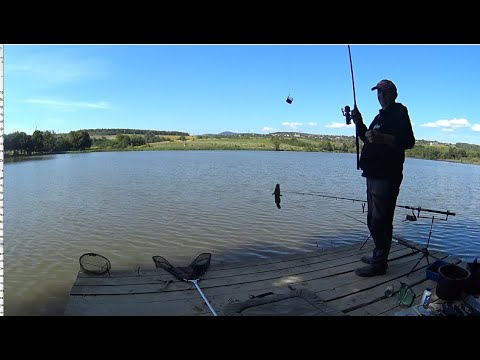 Видео: Рыбалка в Закарпатье: канадские сомы атакуют!