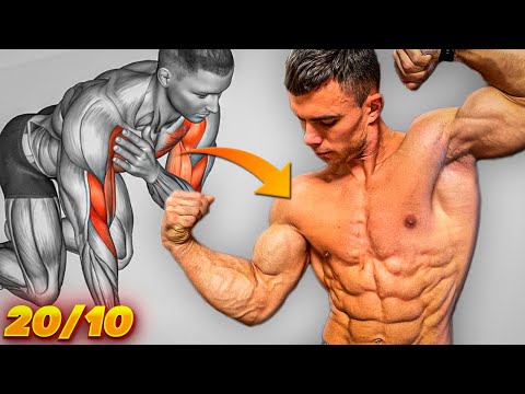 Видео: Измени ТЕЛО за Месяц. Тренировка Всех Мышц Без Железа