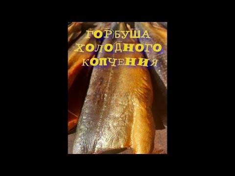 Видео: ГОРБУША ХОЛОДНОГО КОПЧЕНИЯ.