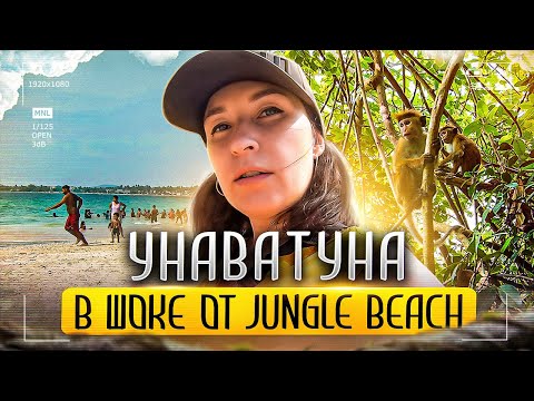Видео: Шри-Ланка. Унаватуна. В шоке от пляжа Джангл Бич (Jungle Beach)