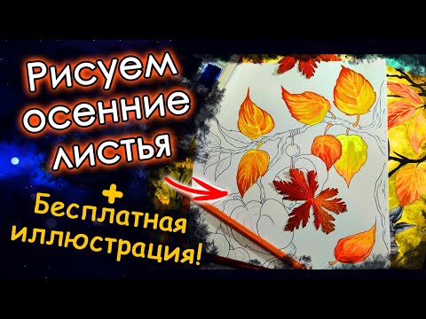 Видео: РИСУЕМ осенние ЛИСТЬЯ! Новая ИЛЛЮСТРАЦИЯ. Раскраски пнтистресс.