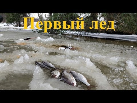 Видео: Первый лед на Рыбинском вдхр, река Ламь