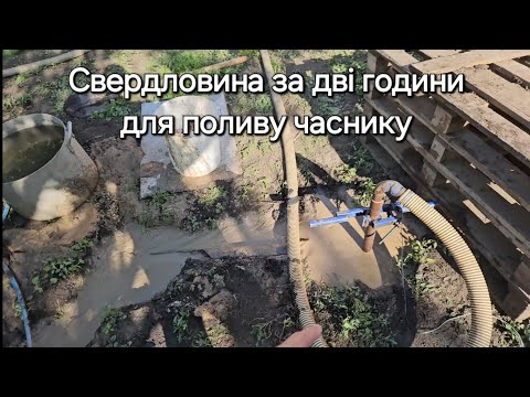 Видео: Свердловина для поливу часника. Все що треба знати. Абісінська свердловина.