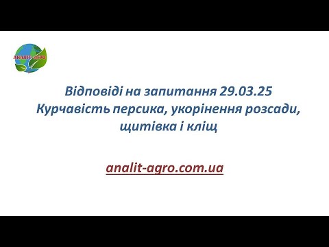 Видео: Відповіді на запитання 29.03.25 Курчавість персика, укорінення розсади, щитівка і кліщ