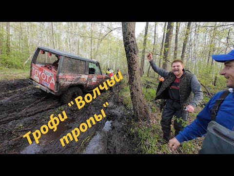 Видео: Волчьи тропы весна 2024