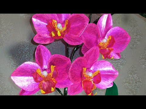 Видео: Орхидея из пластиковых бутылок. Мастер класс.