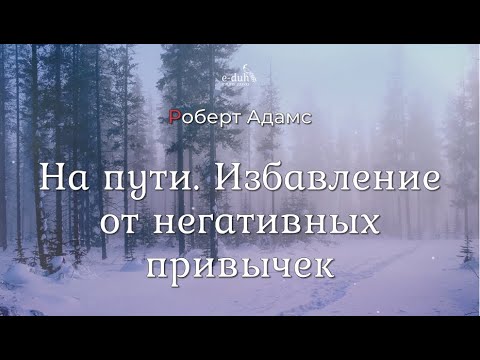 Видео: Роберт Адамс - На пути. Избавление от негативных привычек [Nikosho]