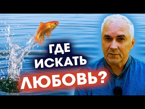 Видео: КАК НАЙТИ ЛЮБОВЬ если вы с ней не знакомы?