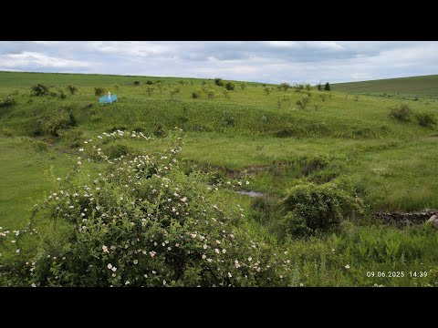 Видео: Провалом від Головиск до Дністра_09.06.2025.