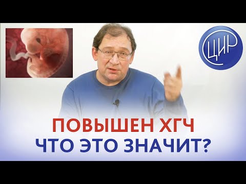 Видео: ХГЧ. Повышен ХГЧ по результатам первого скрининга. Отвечает Гузов И.И.
