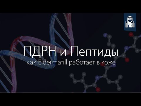 Видео: Механизм работы ПДРН и Пептидов. Елена Брашавецкая простым языком объяснила как работает ELDERMAFILL